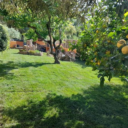 B&B Da Sabrina San Teodoro  Dış mekan fotoğraf