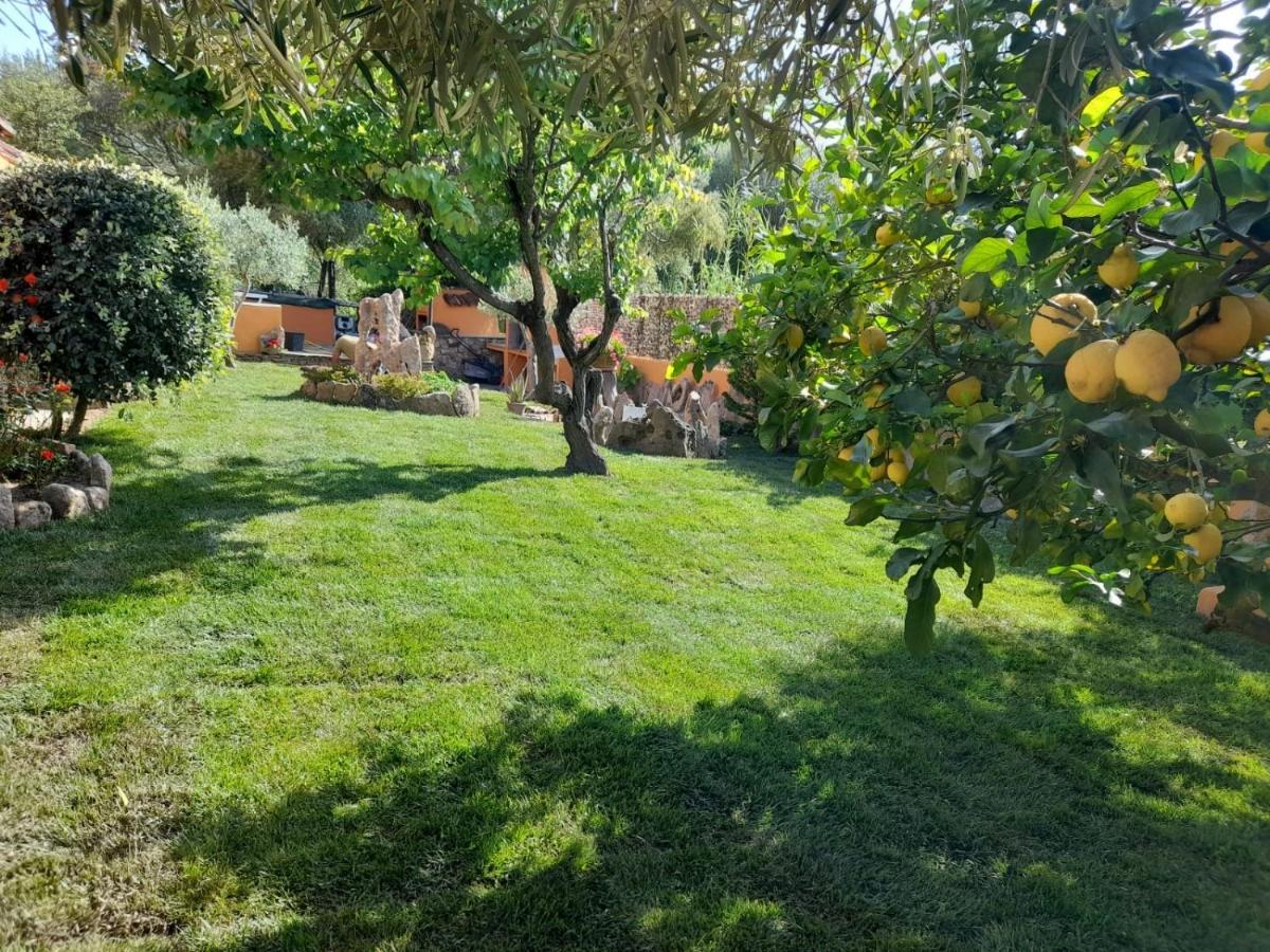 B&B Da Sabrina San Teodoro  Dış mekan fotoğraf