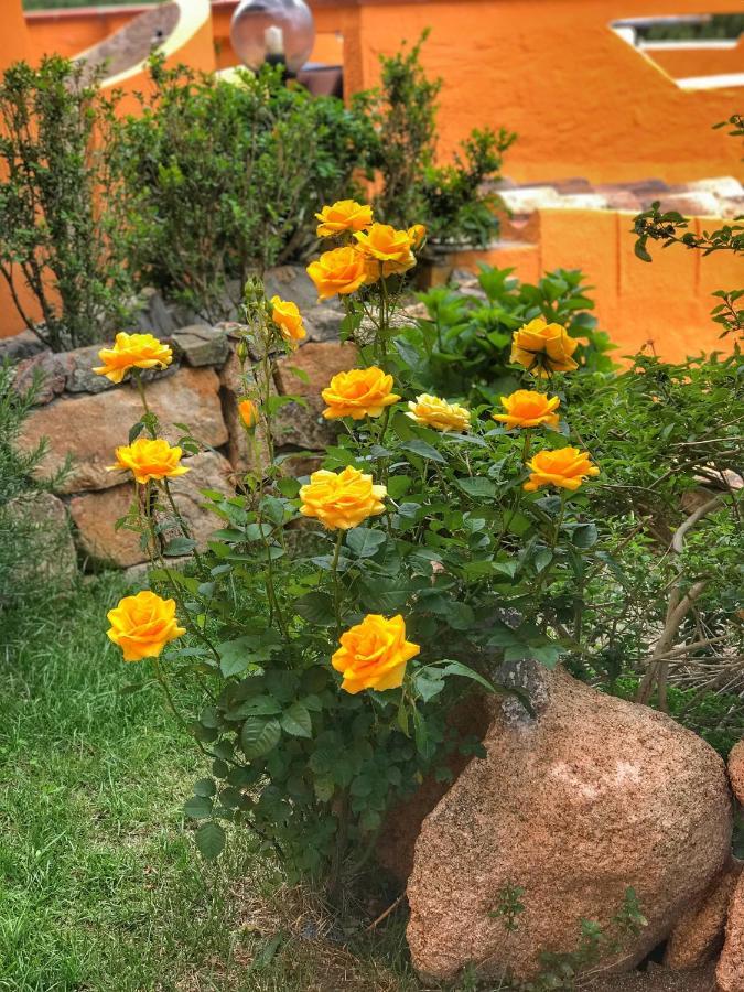 B&B Da Sabrina San Teodoro  Dış mekan fotoğraf